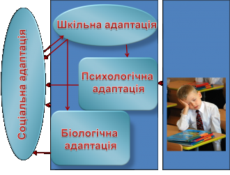 /Files/images/1клас адап.png